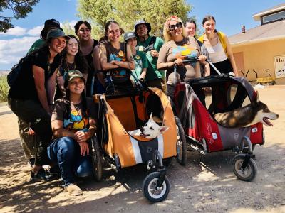 Starbucks volunteers with two dogs in strollers